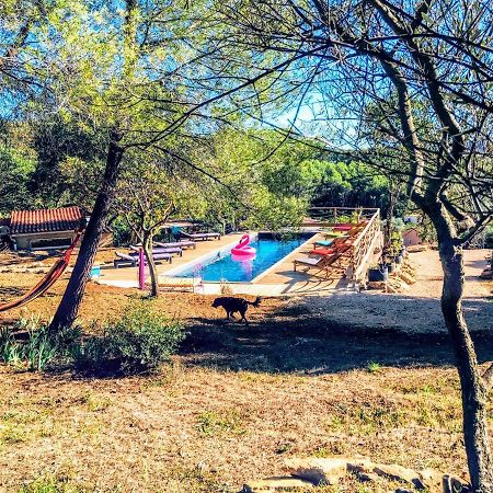 Arche De Noe Atypique, Boheme , Nature, Piscine Chauffee De Paques A Toussaint , Spa , Sauna , Loisirs Le Beausset Exterior foto
